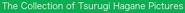 The Collection of Tsurugi Hagane Pictures