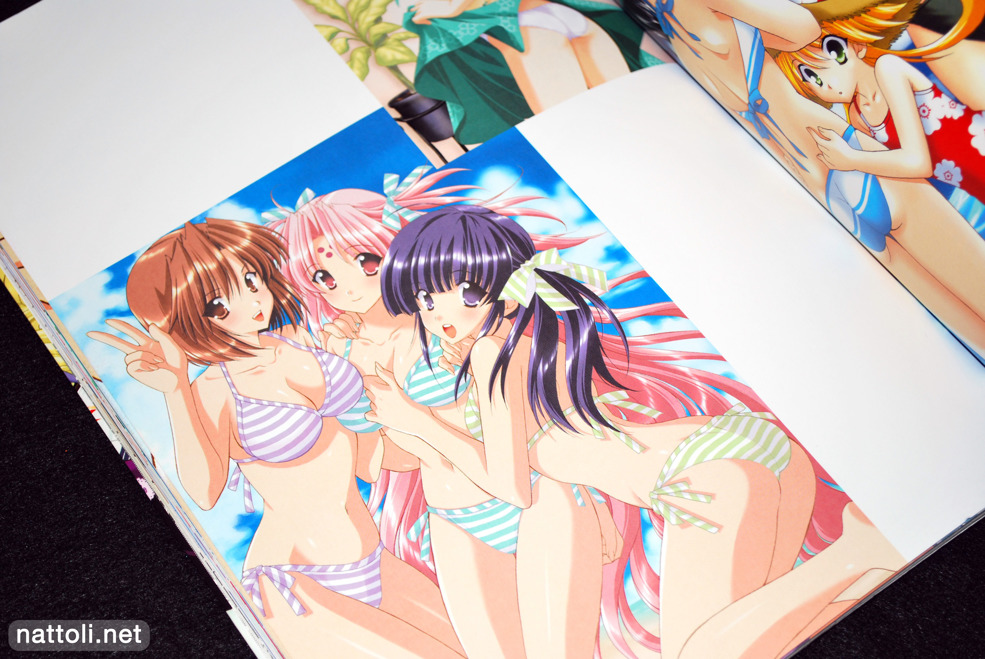 Kirie, Miharu and Koyomi in Bikinis  Photo