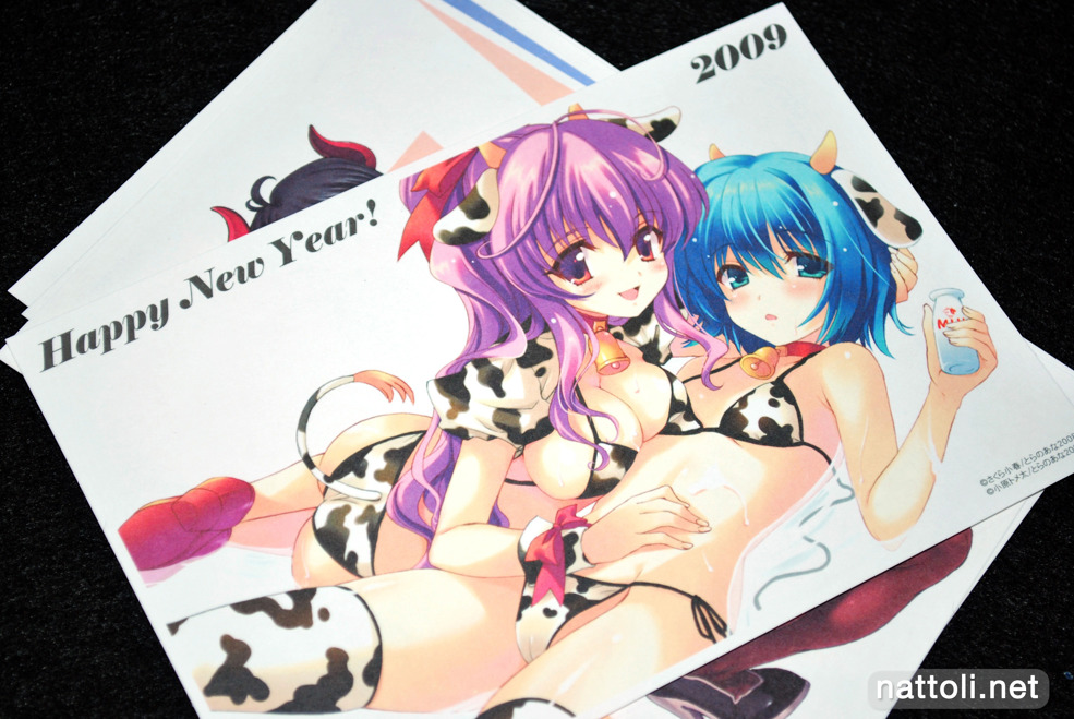 Toranoana New Year's Cards 2009 - 5  Photo