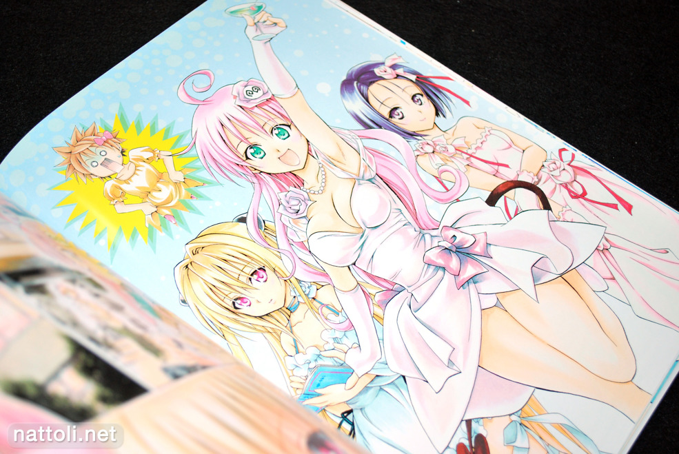 To Love-ru Illustrations Love Color - 8  Photo