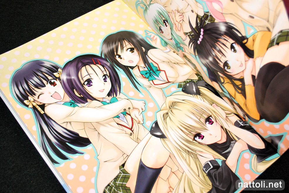To Love-ru Illustrations Love Color - 13  Photo