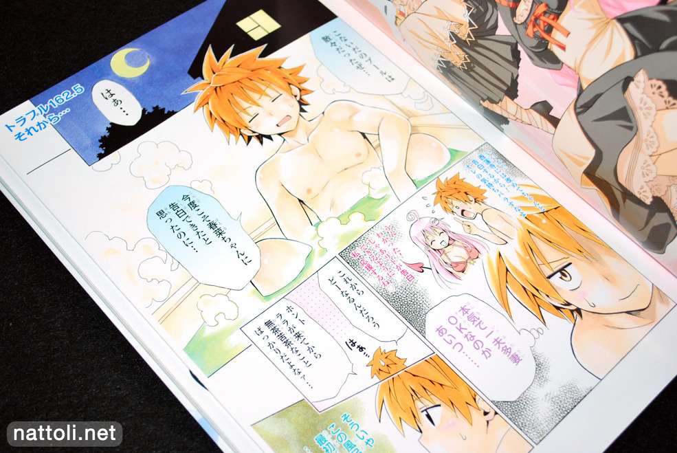 To Love-ru Illustrations Love Color - 22  Photo