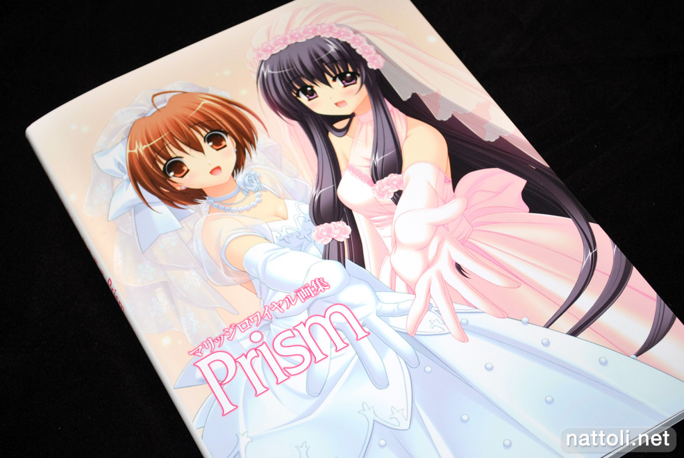 Marriage Royale Illustrations Prism - 1  Photo