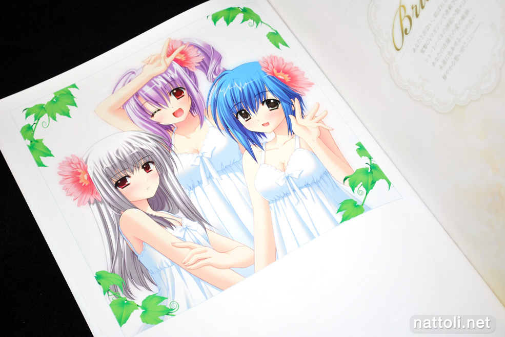 Marriage Royale Illustrations Prism - 8  Photo