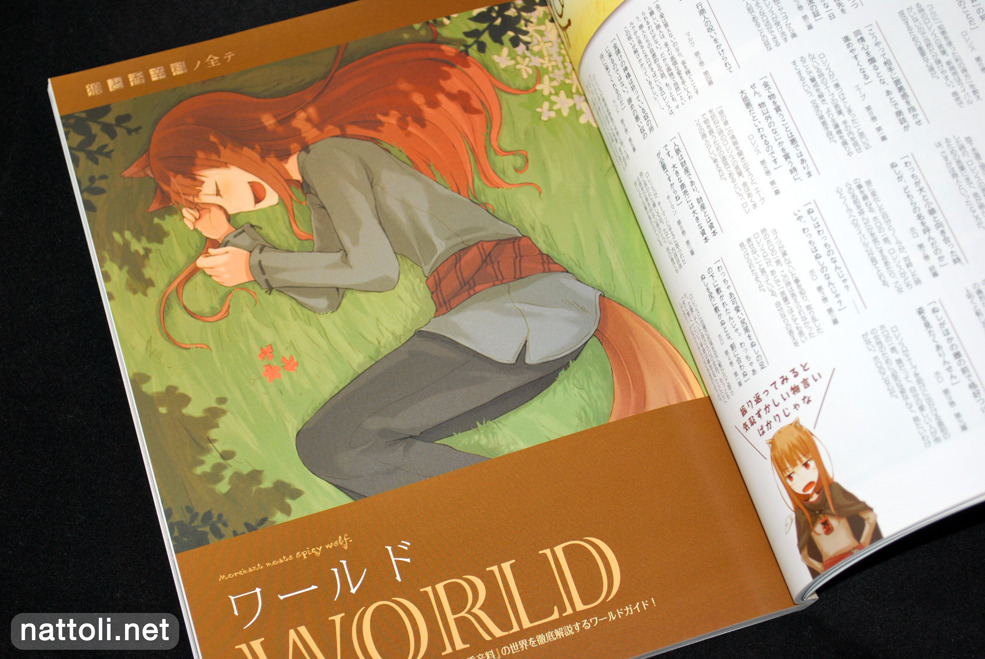 Spice and Wolf Complete - 8  Photo