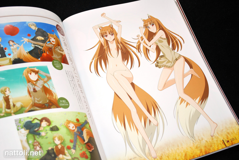 Spice and Wolf Complete - 24  Photo