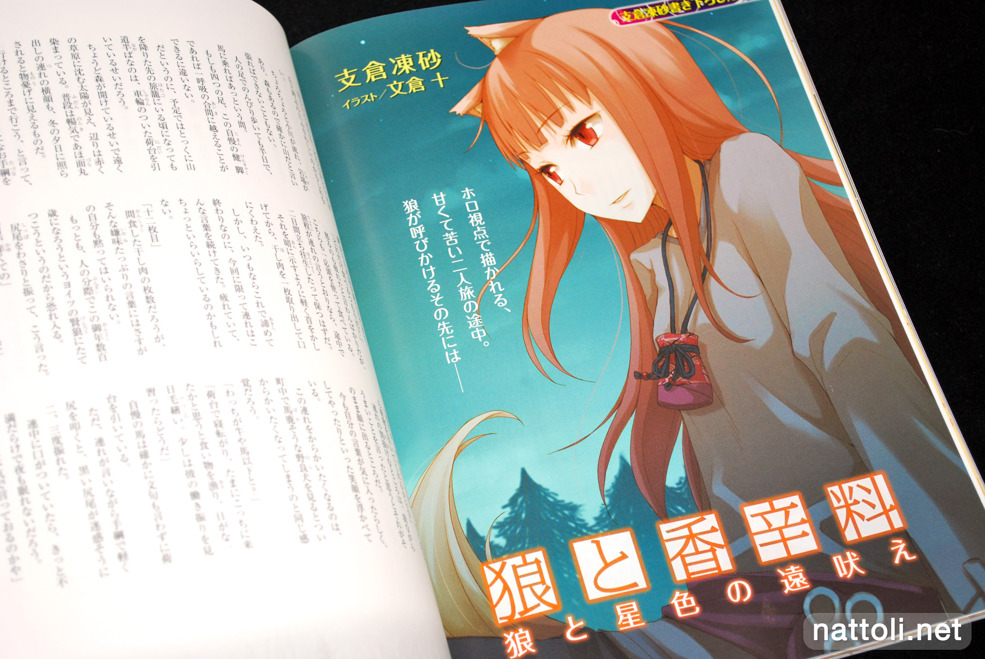 Spice and Wolf Complete - 32  Photo