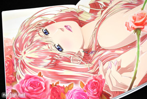 Macross F Visual Collection Sheryl Nome FINAL - 24