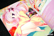 Bishoujo Illustrations New Year Collection 2011 -