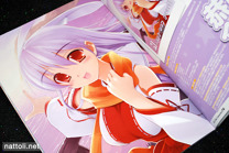 Bishoujo Illustrations New Year Collection 2011 -