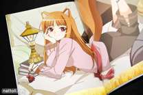 Spice and Wolf Complete - 20