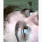 Avatar for damoser
